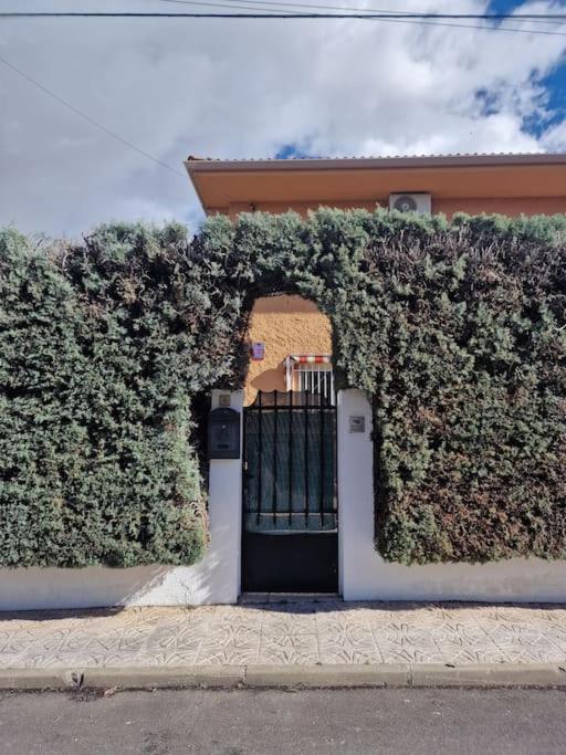 Primera Planta Completa, El Álamo Eksteriør billede