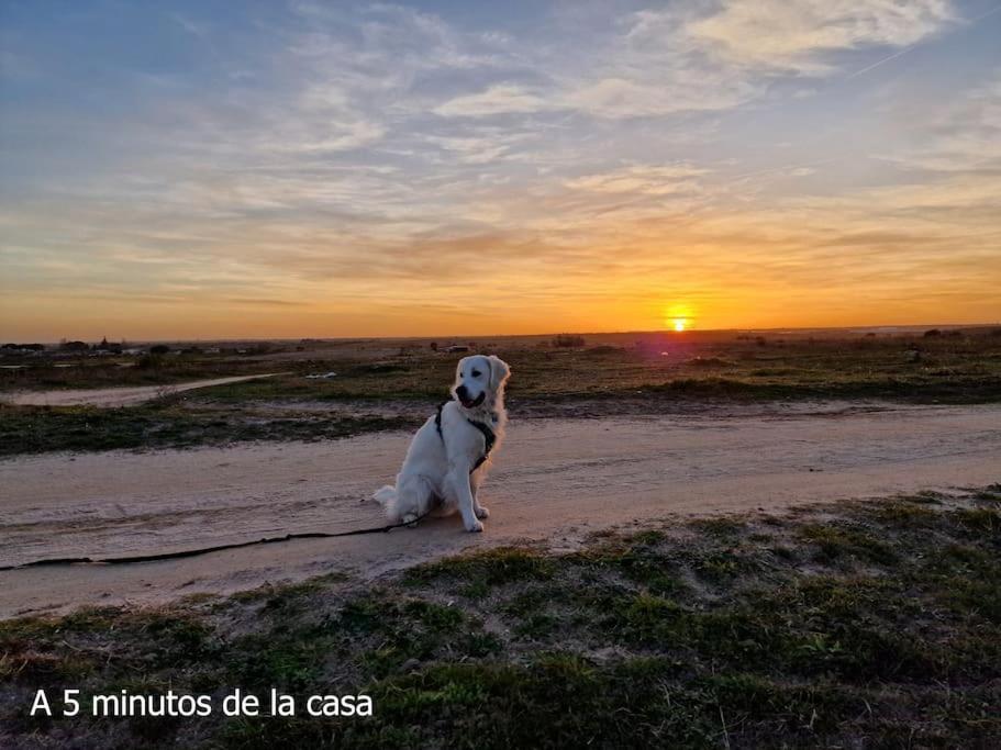 Primera Planta Completa, El Álamo Eksteriør billede